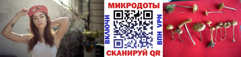 Галлюциногенные грибы Psilocybe  наркота  Воронеж 